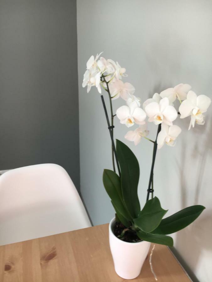 Apartament Easy Stay Center 브로츠와프 외부 사진
